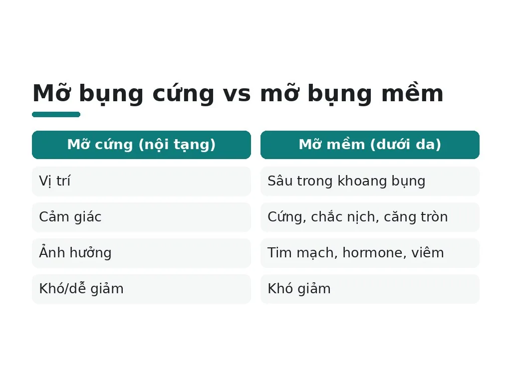 Mỡ bụng cứng là gì và khác biệt với mỡ mềm?