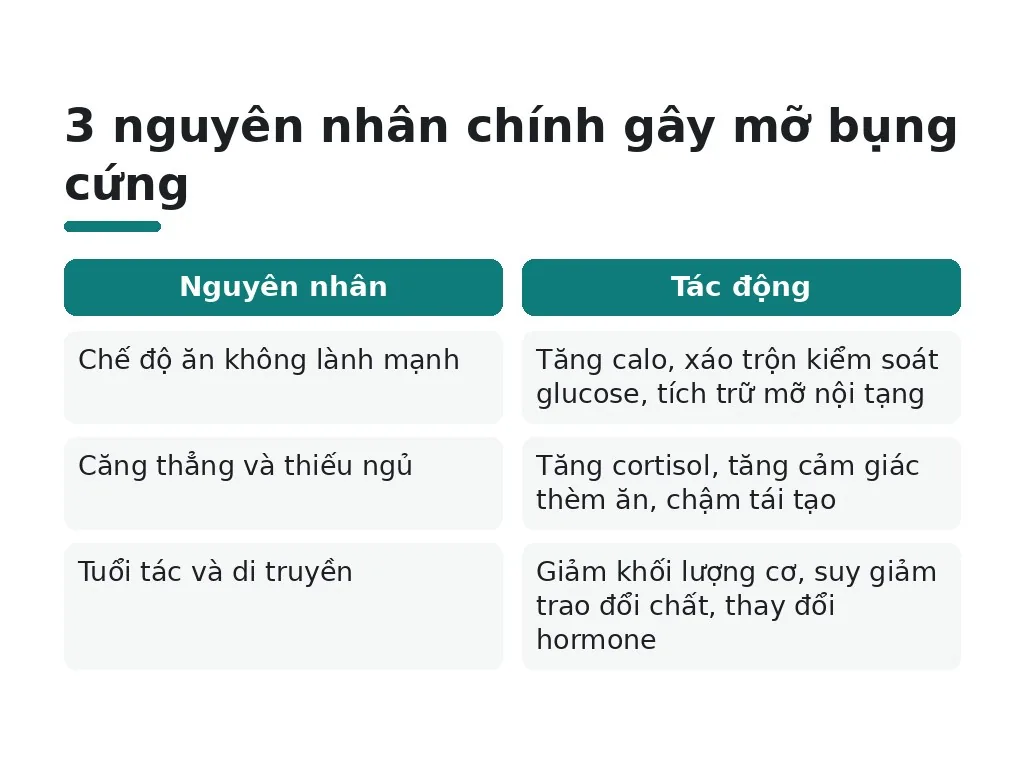 Nguyên nhân gây mỡ bụng cứng là gì?