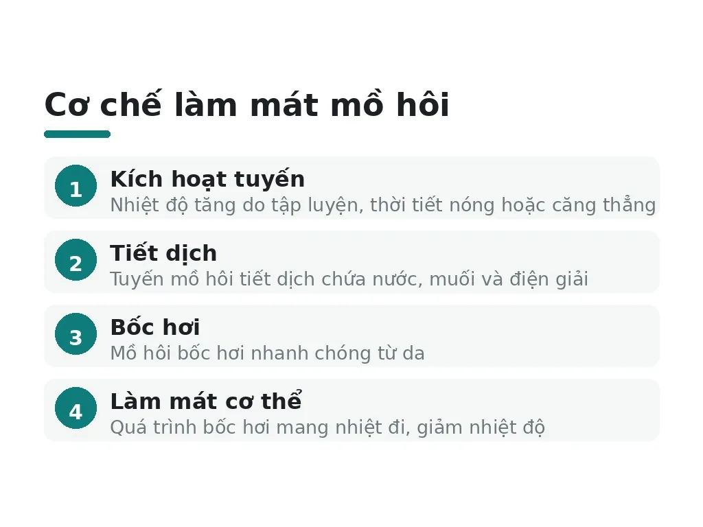 Mồ hôi là gì, thành phần và chức năng?