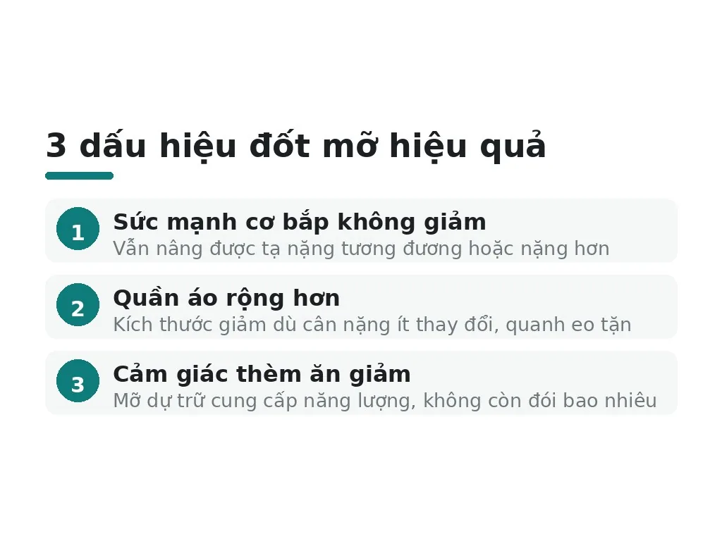 Dấu hiệu nào cho biết đang đốt mỡ hiệu quả?