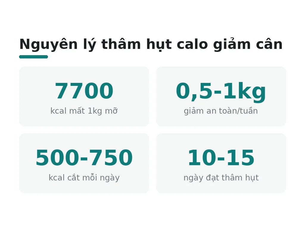 Nguyên lý thâm hụt calo trong giảm cân là gì?