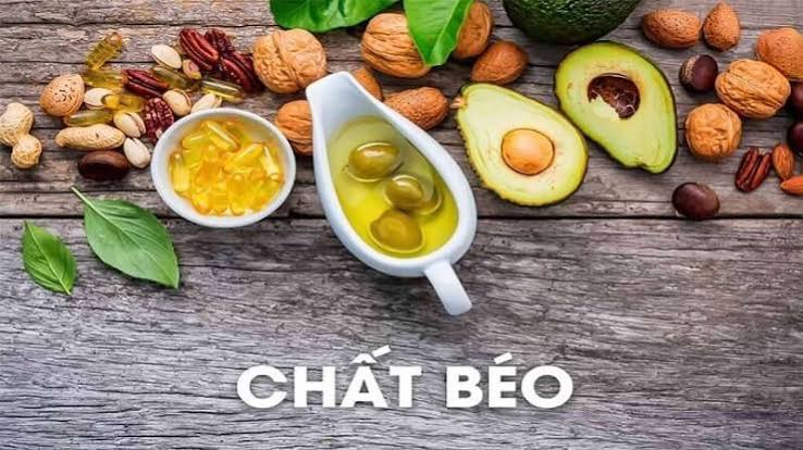 Mỡ (chất béo) là gì? Vận dụng trong cơ thể