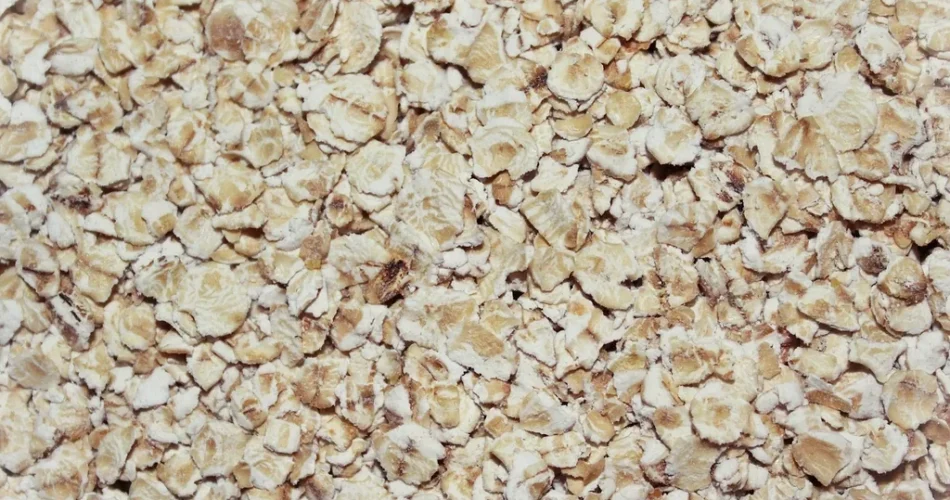oatmeal for weight loss diet