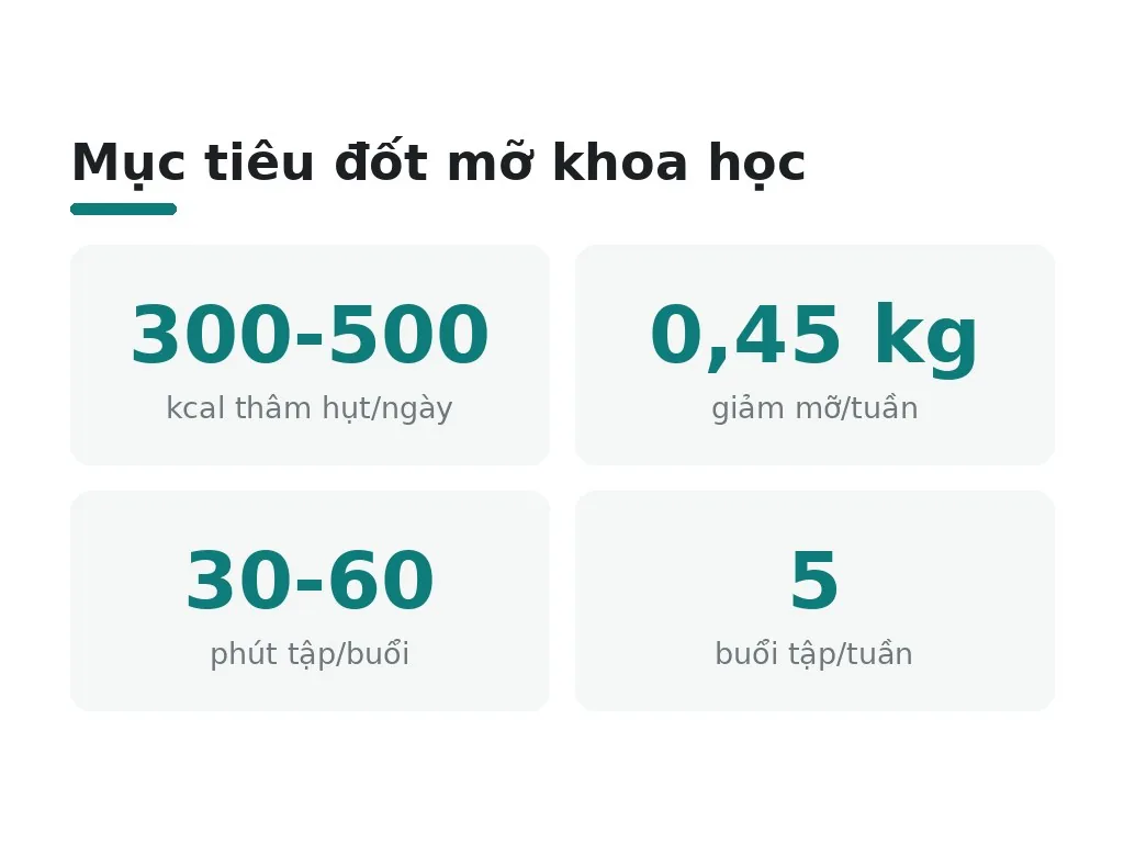 Làm thế nào để đốt mỡ hiệu quả?