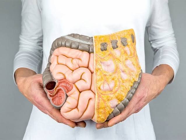 Mỡ đào thải qua đường nào: phân bố chính xác
