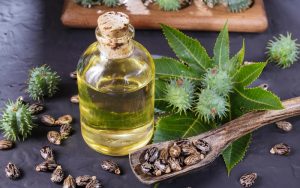 Tinh dầu thầu đâu cho tác dụng tốt khi dưỡng mi cong và dài