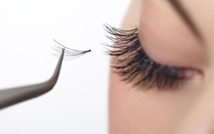 Fan mi là gì? Đó là một chuỗi nhiều chùm mi kết nối với nhau