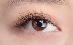 Mi giả Mister Mascara False Eyelashes