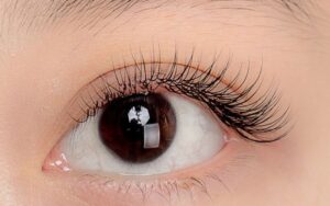 Định nghĩa kỹ thuật nối mi mỏng