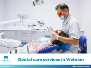 Dental care services in Vietnam