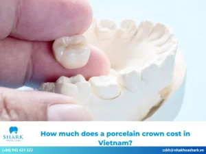 How much does a porcelain crown cost in Vietnam?