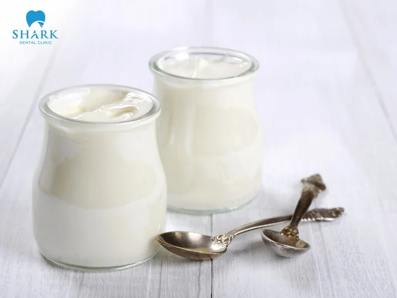 Yogurt contains plenty of probiotics and is a soft, easy-to-eat food suitable for people who have just gotten braces