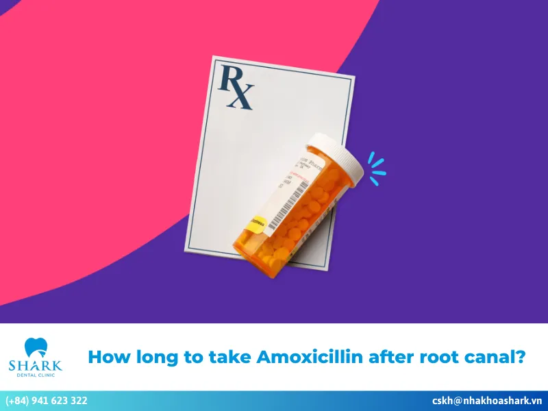 How long to take Amoxicillin after root canal?
