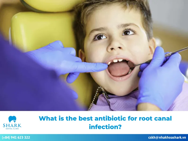 What is the best antibiotic for root canal infection?