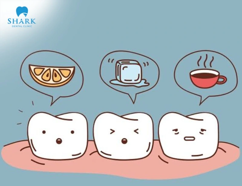 Be careful to avoid extremely hot or cold foods, since they can further affect and irritate the tooth