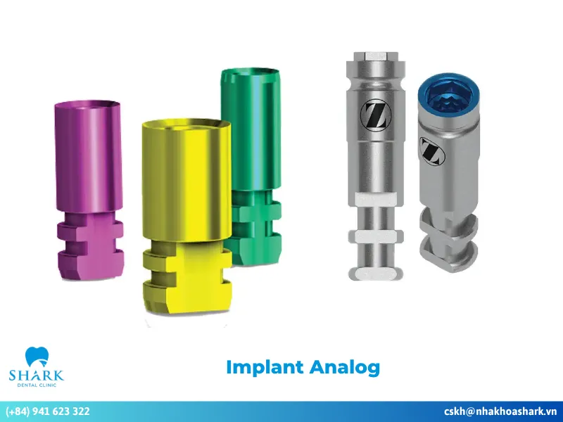 What is an implant analog, and how is it applied in dentistry?