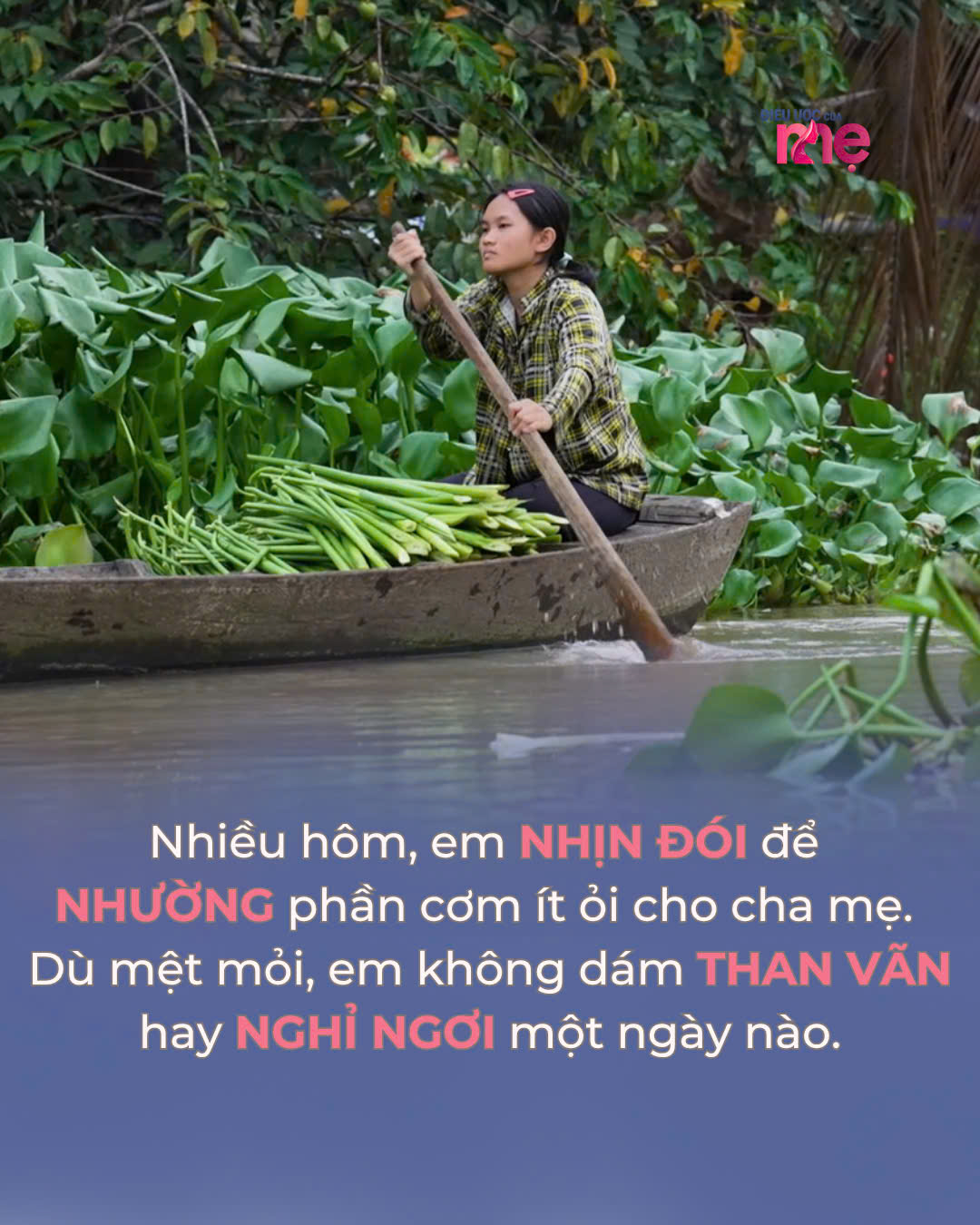Mỗi ngày vừa đi học, vừa đi cắt lục bình phơi và bán