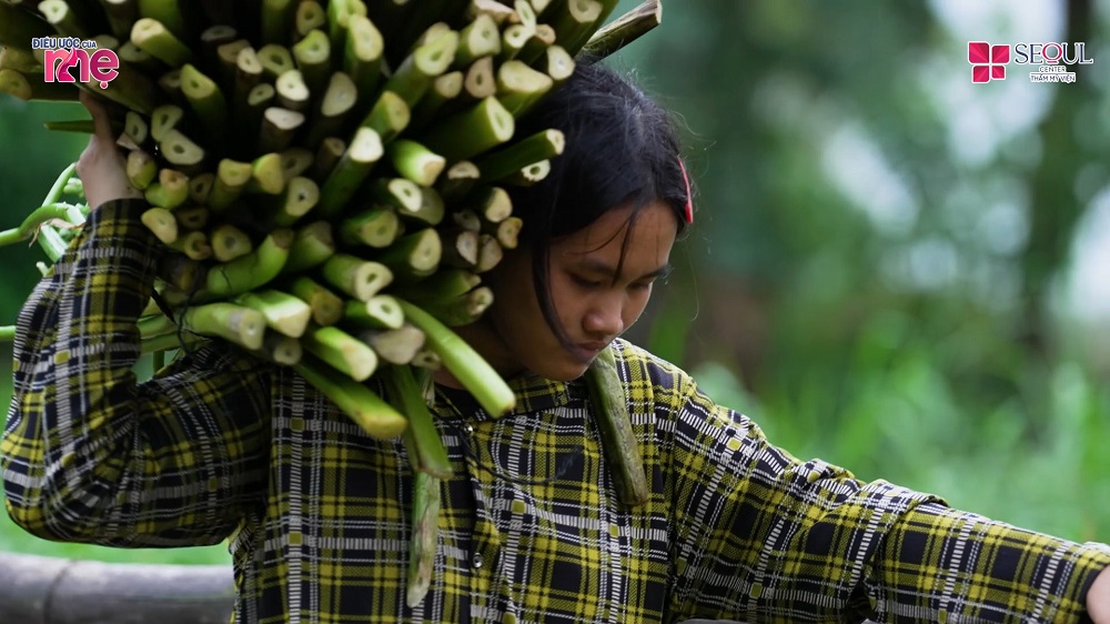 Bích Trâm chỉ mới 15 tuổi nhưng phải lao động cắt và phơi lục bình kiếm tiền