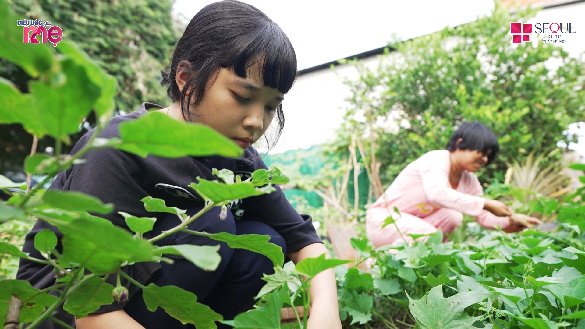 Bé Tuyết Nhi học giỏi, siêng năng, học giỏi, có thời gian rảnh cô bé luôn phụ mẹ hái rau phụ giúp gia đình