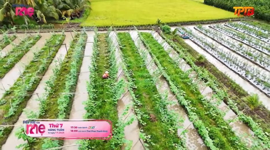 Chị Quỳnh hàng ngày làm rất nhiều công việc chỉ để kiếm từng đồng 5 ngàn nuôi hai đứa con “chồng” mà không một lời oán than