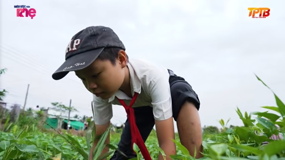 Bé Giàu hàng ngày phải mò cua bắt ốc, hái cam thuê để phụ bà kiếm thêm thu nhập 