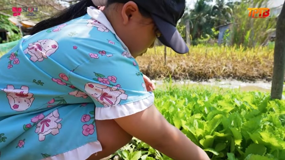Hàng ngày Ngọc Trân ngoài giờ học bé sẽ đi hái rau, phụ bưng bê nước để kiếm tiền lo cho ba mẹ