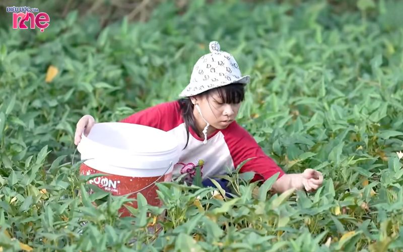 Dù ở độ tuổi khá nhỏ nhưng Cẩm Tiên lại mang trong mình một trọng trách khá lớn là “trụ cột gia đình”
