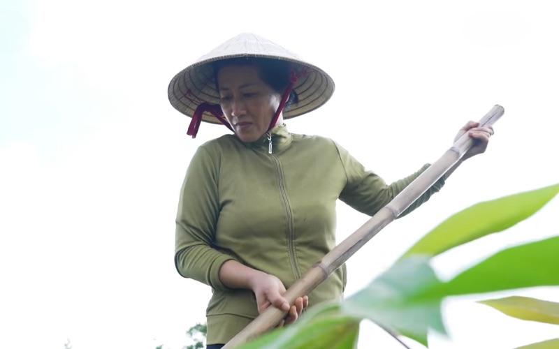 Một mình chị Thu gồng gánh nuôi con nên chị làm tất cả mọi việc mà không quãng khó khăn cũng chỉ vì các con