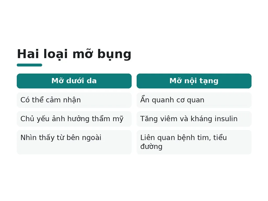 Tại sao mỡ bụng nguy hiểm hơn bạn tưởng?