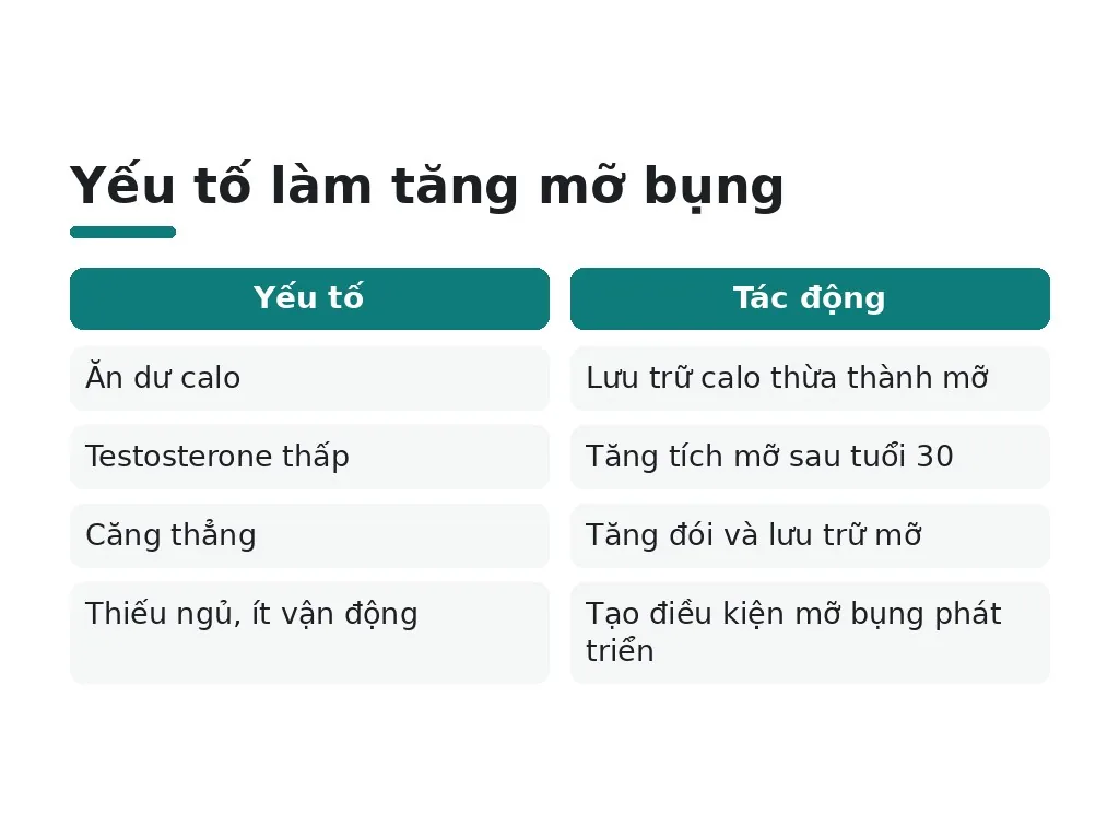 Tại sao nam giới dễ tích mỡ bụng?