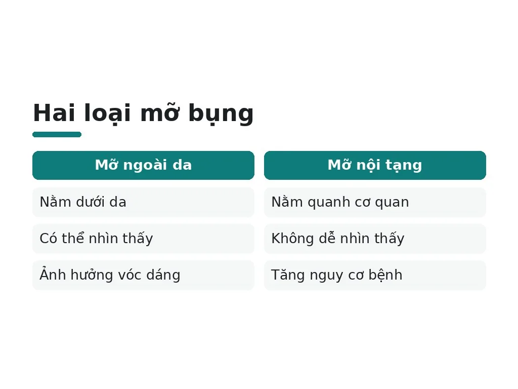 Tại sao mỡ bụng khó giảm hơn các vùng khác?
