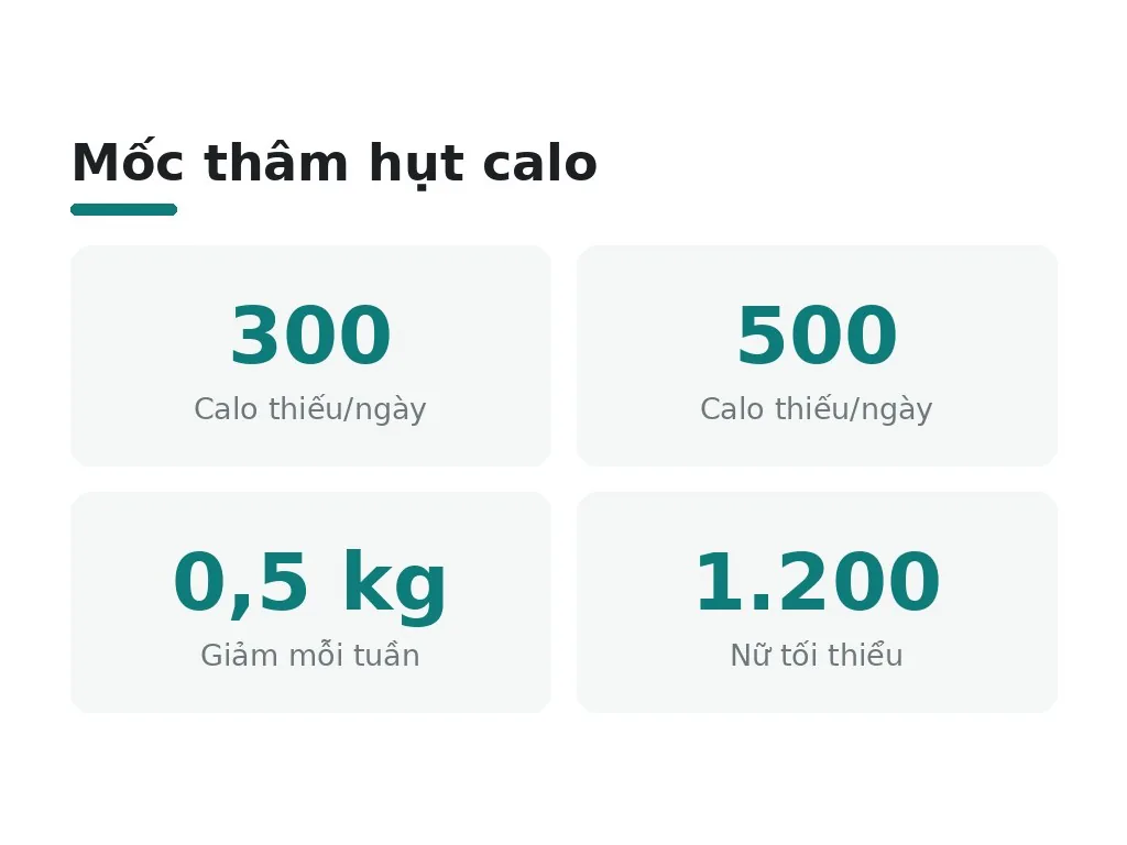 Làm sao giảm mỡ bụng bằng thâm hụt calo?