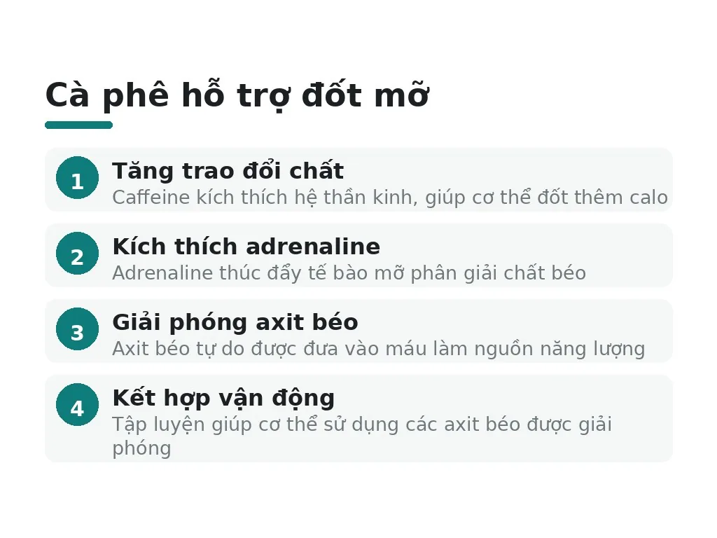 Cà phê hoạt động thế nào để giảm mỡ bụng?
