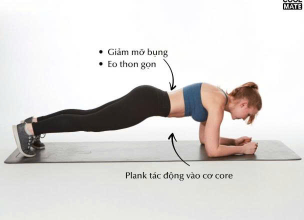 Plank giúp tăng sức mạnh cơ core nhưng không thể tự giảm mỡ riêng ở vùng bụng nếu không kết hợp giảm mỡ toàn thân.