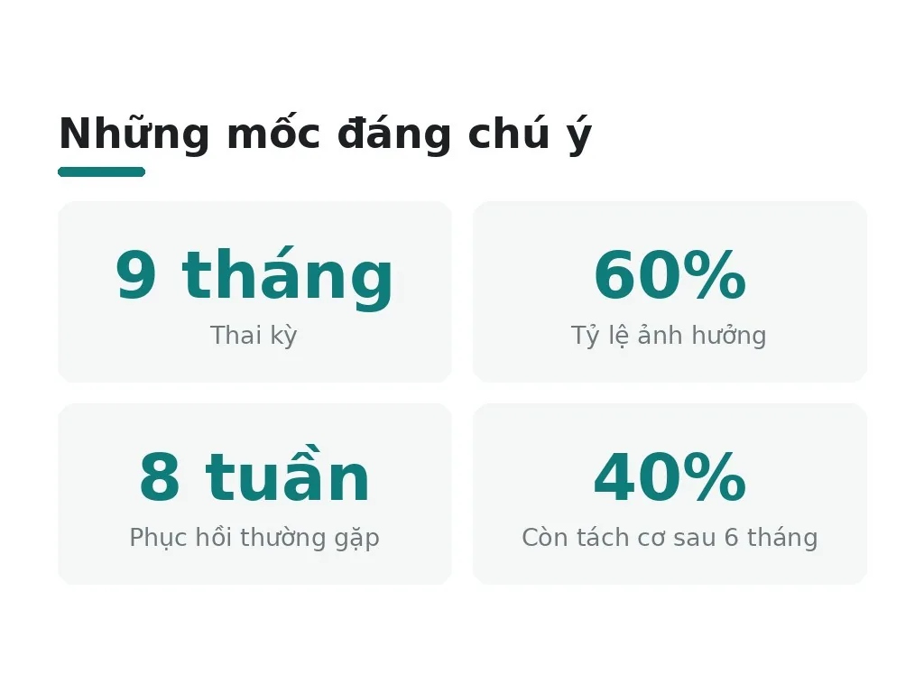 Tại sao bụng chảy xệ và tích mỡ sau sinh?
