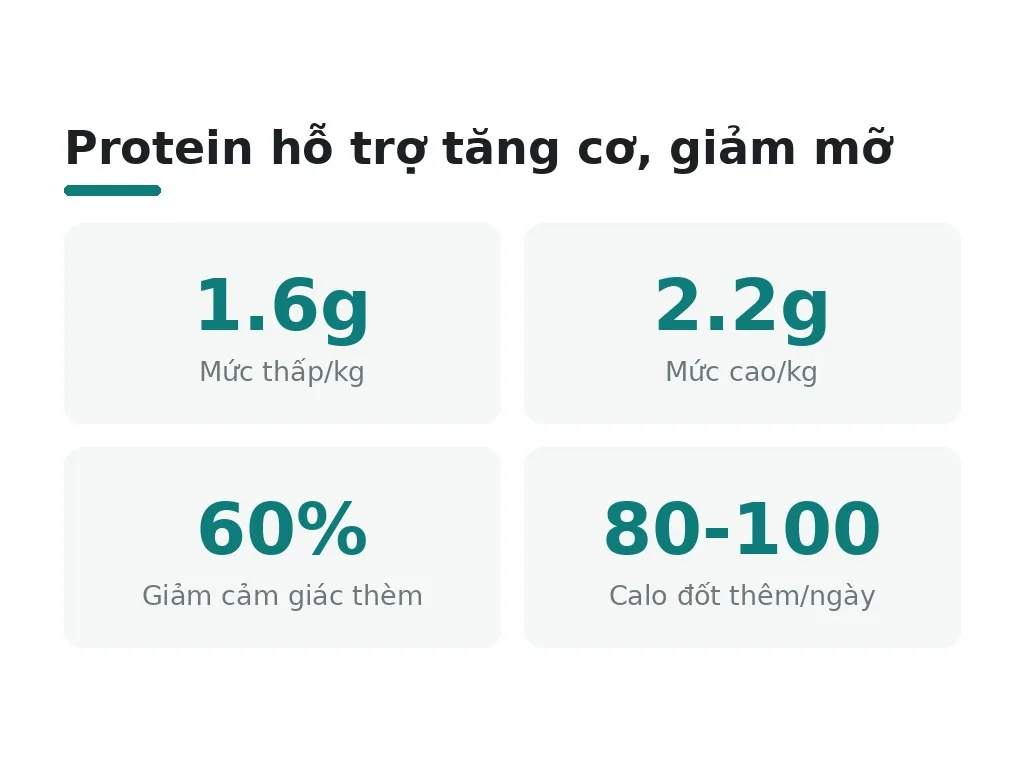 Tại sao protein là nhân tố then chốt tăng cơ và giảm mỡ?