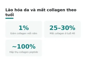 Lão hóa da và mất collagen theo tuổi