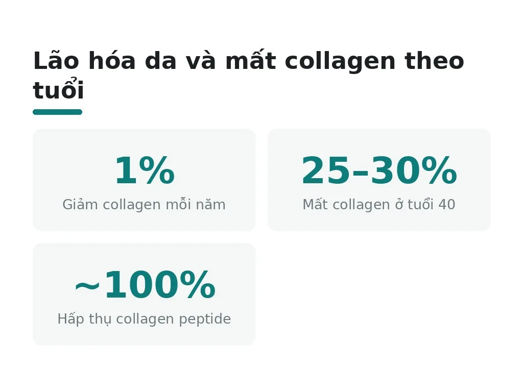 Lão hóa da và mất collagen theo tuổi