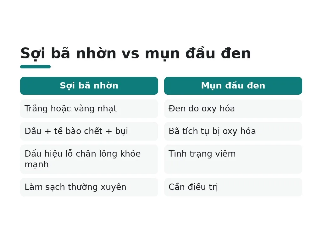 Tại sao vùng mũi dầu nhiều hơn các vùng khác?