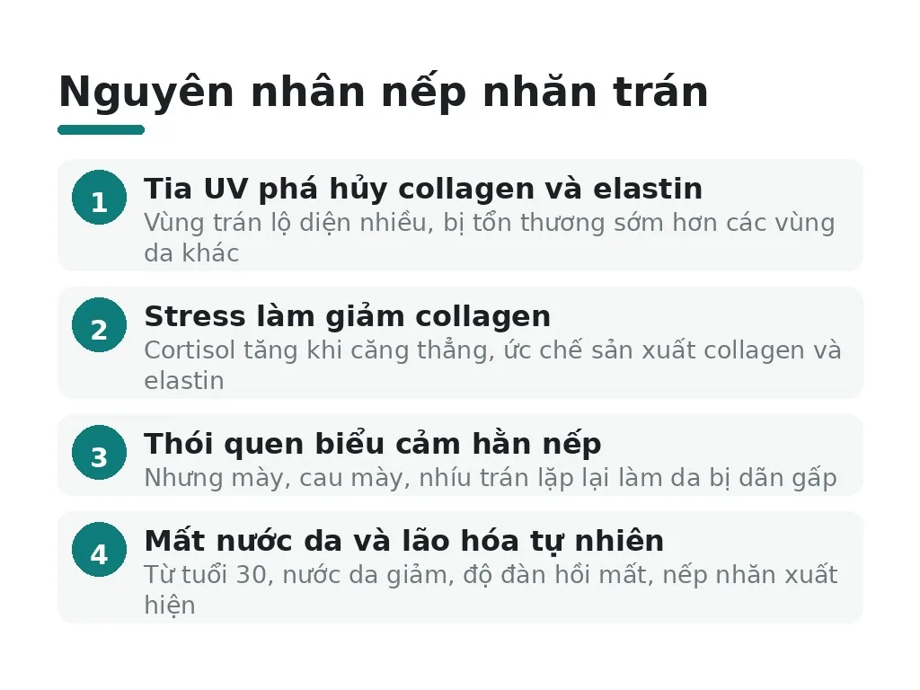 Vì sao vùng trán dễ xuất hiện nếp nhăn?