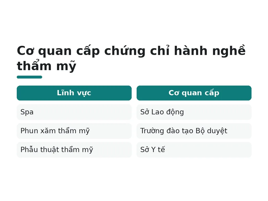 Nơi cấp chứng chỉ hành nghề thẩm mỹ theo lĩnh vực?