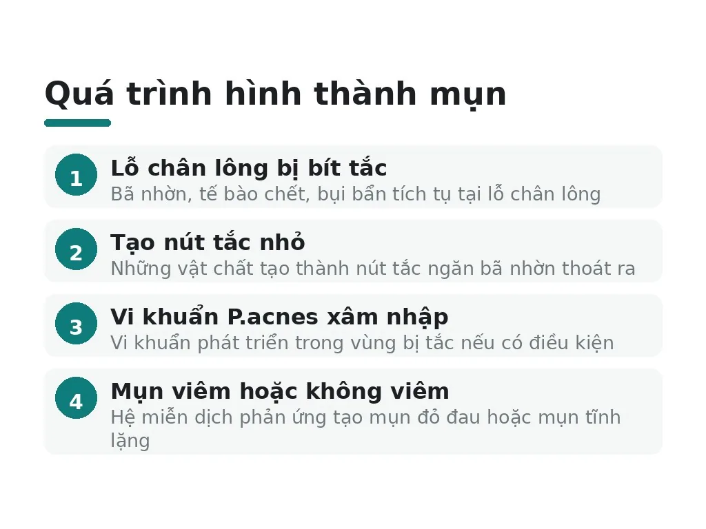Lỗ chân lông và tây bã nhờn ảnh hưởng như thế nào tới hình thành mụn?