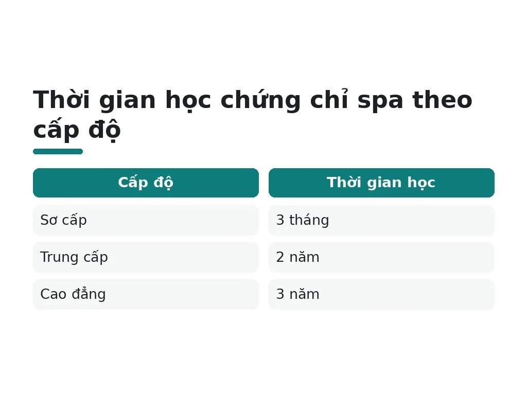 Cần chứng chỉ hành nghề gì để mở spa?