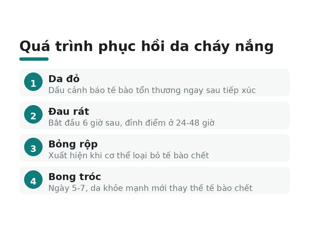 Da cháy nắng là gì và tại sao tế bào bị tổn thương?
