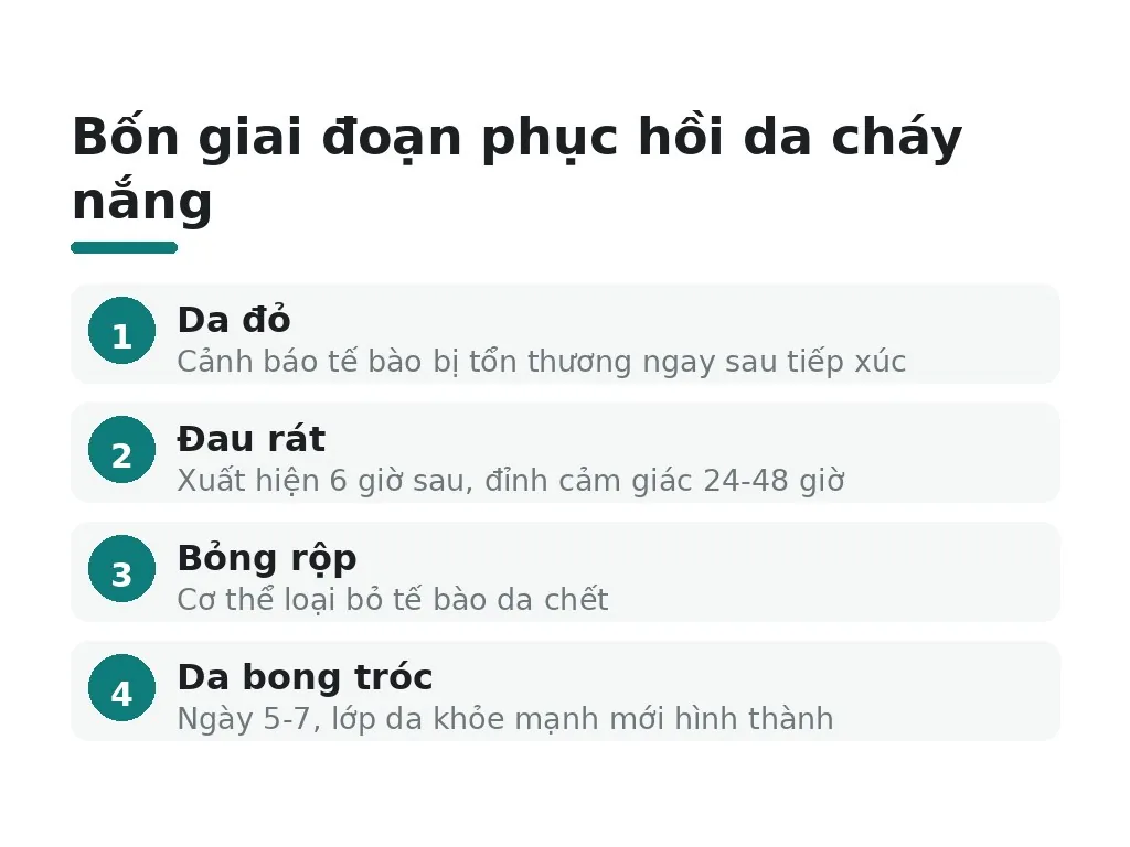 Da cháy nắng là gì và tại sao tế bào bị tổn thương?