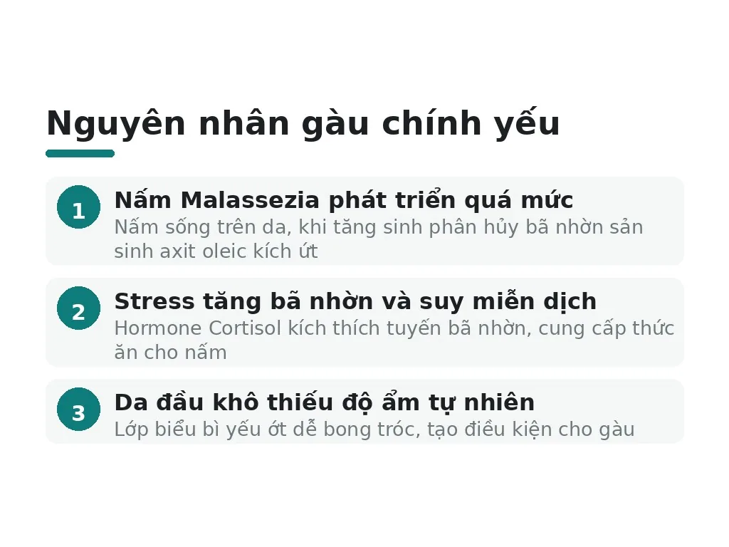 Nguyên nhân gàu mà bạn cần hiểu