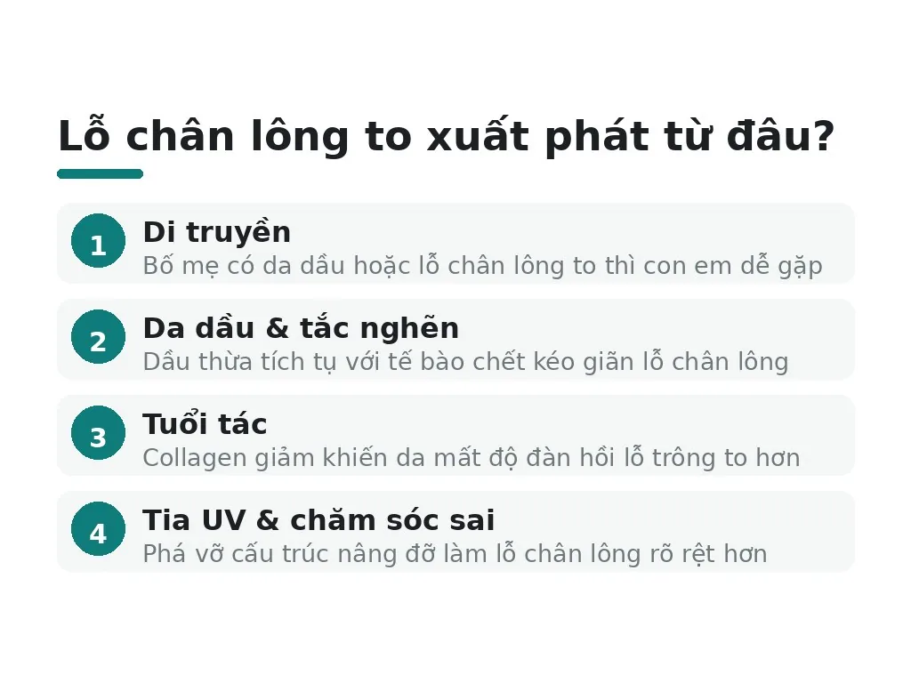 Lỗ chân lông to xuất phát từ đâu?