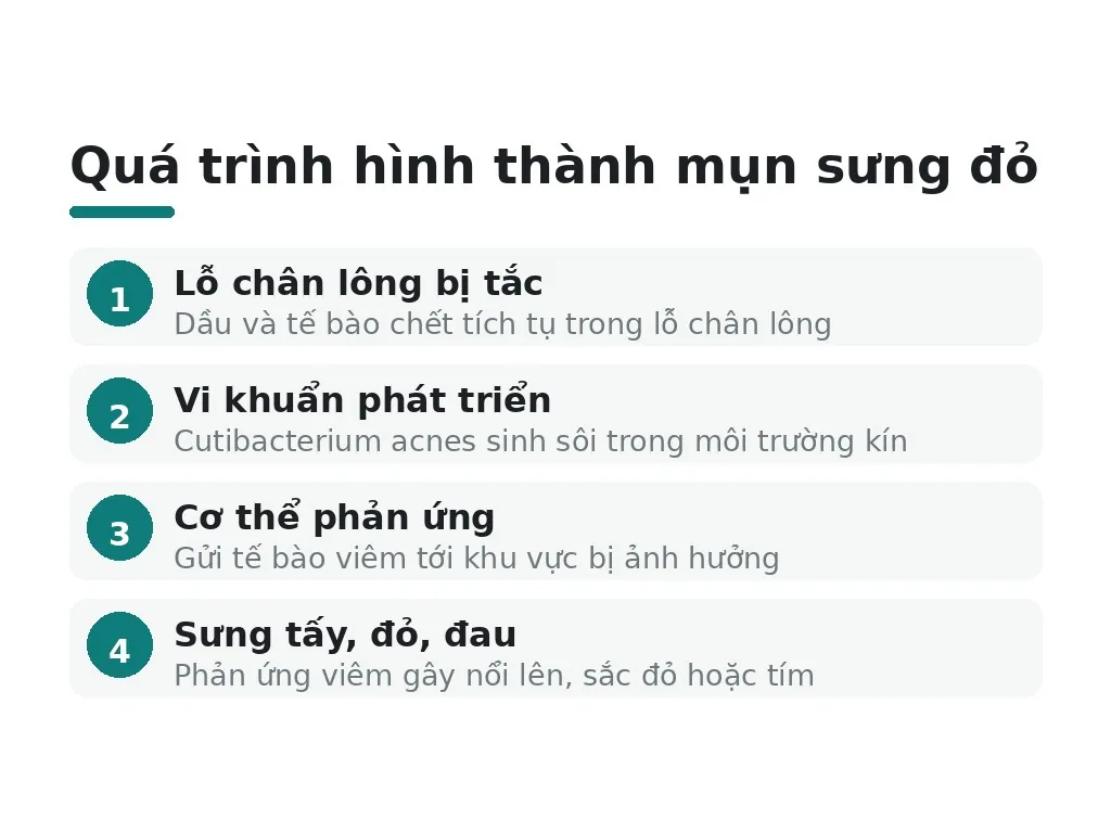Tại sao mụn lại sưng và đỏ?