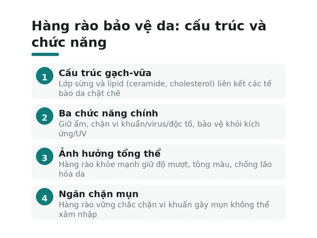 Hàng rào bảo vệ da là gì và vì sao nó quan trọng