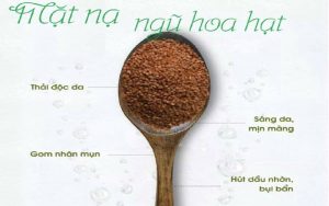 Hạt đình lịch (hạt ngũ hoa) còn hỗ trợ rất nhiều đến việc chăm sóc da
